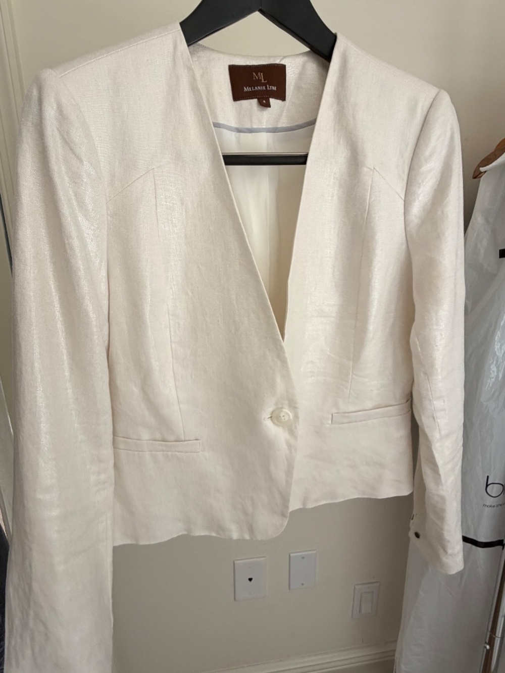Shimmery Linen Blazer